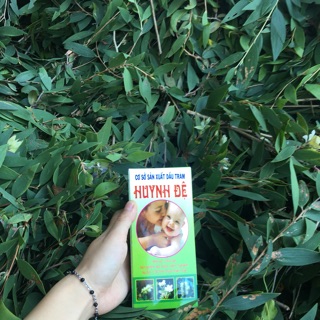 Tinh Dầu tràm huynh đệ