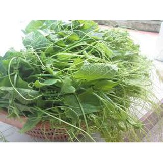 Hạt giống bí siêu ngọn mập (20G)