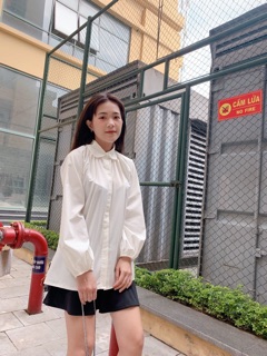 Áo sơmi cổ bèo
