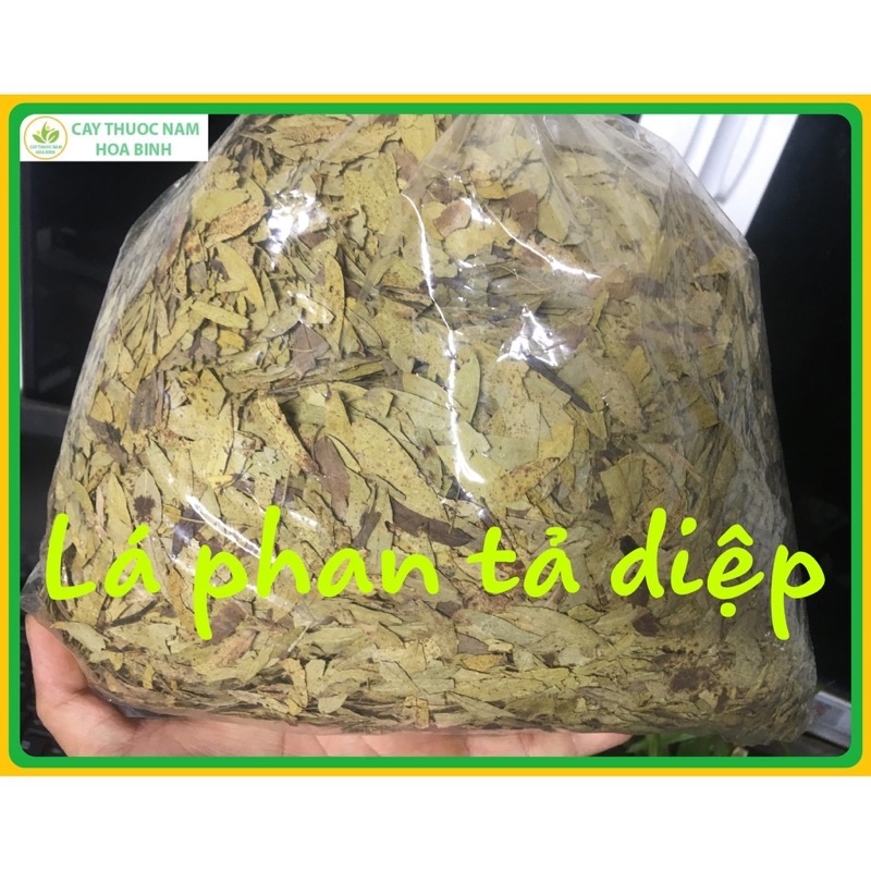1Kg Phan Tả Diệp hỗ trợ táo bón, nhuận tràng