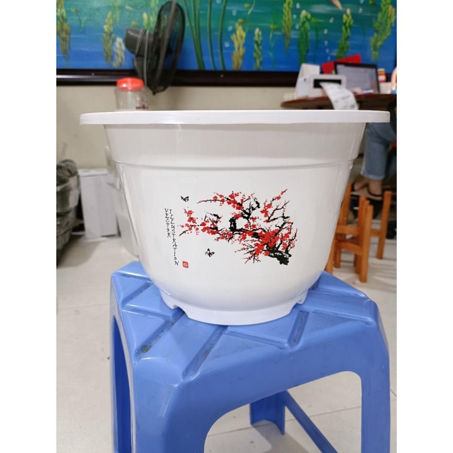 Chậu nhựa bốn Mùa trồng cây siêu đẹp, siêu rẻ