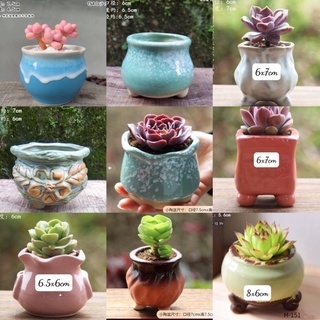 Chậu sứ mini trồng cây