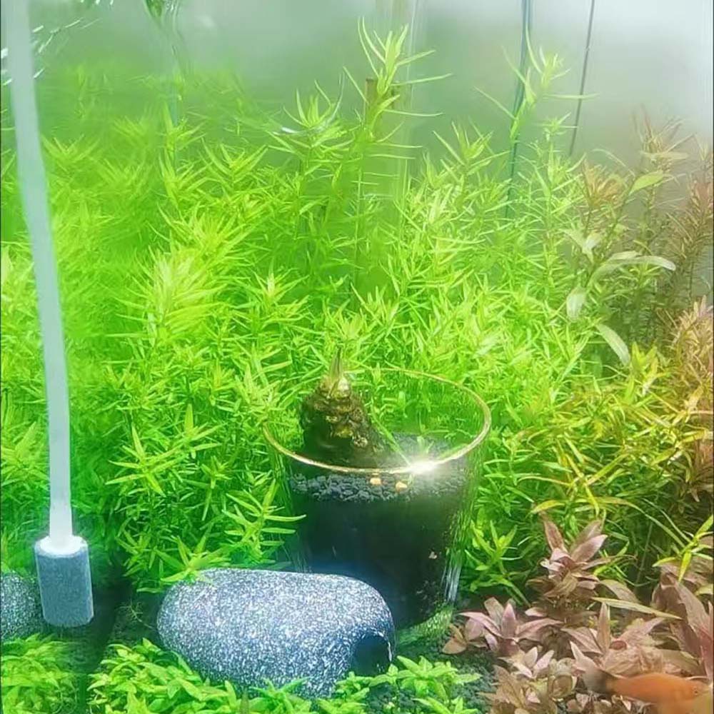 AQUARZOO Aquarium Hiding Cave Stone Hideaway akuarium Decoration Hide Rock Cichlids Betta Hideout Shelter Cave Tunnel Fish Tank Pond Ornament for Short Bream Crayfish Shrimp