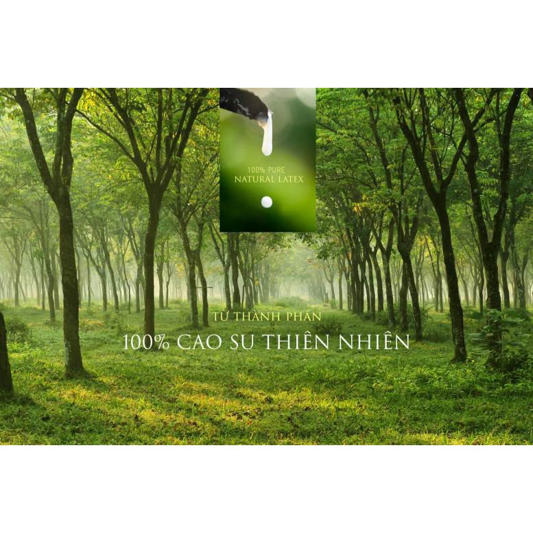 Nệm CAOSU Thuần Việt 100% thiên nhiên (khử mùi hoạt tính, hương Hoa Anh Đào)