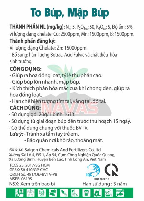 SIÊU MẬP BÚP THANH LONG NAVAS