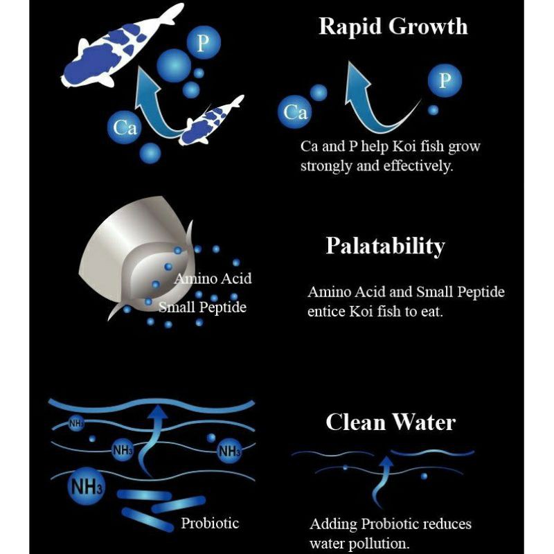 cám aqua master tăng trưởng cá koi