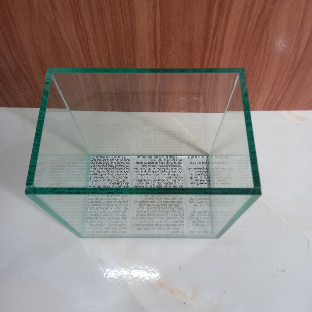 Bể Cá Betta, Guppy