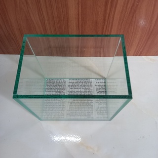 Bể Cá Betta, Guppy