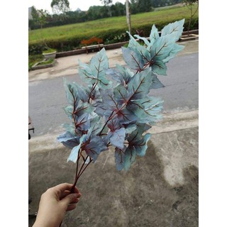 Combo hoa lá trang trí nhà