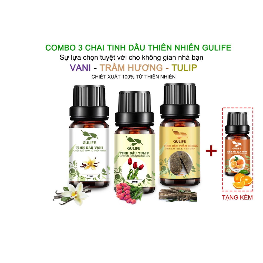 Combo 3 Lọ Tinh Dầu Chiết Xuất Từ Thiên Nhiên GULIFE - Giảm Căng Thằng, Thơm Phòng &amp; Thư Giãn