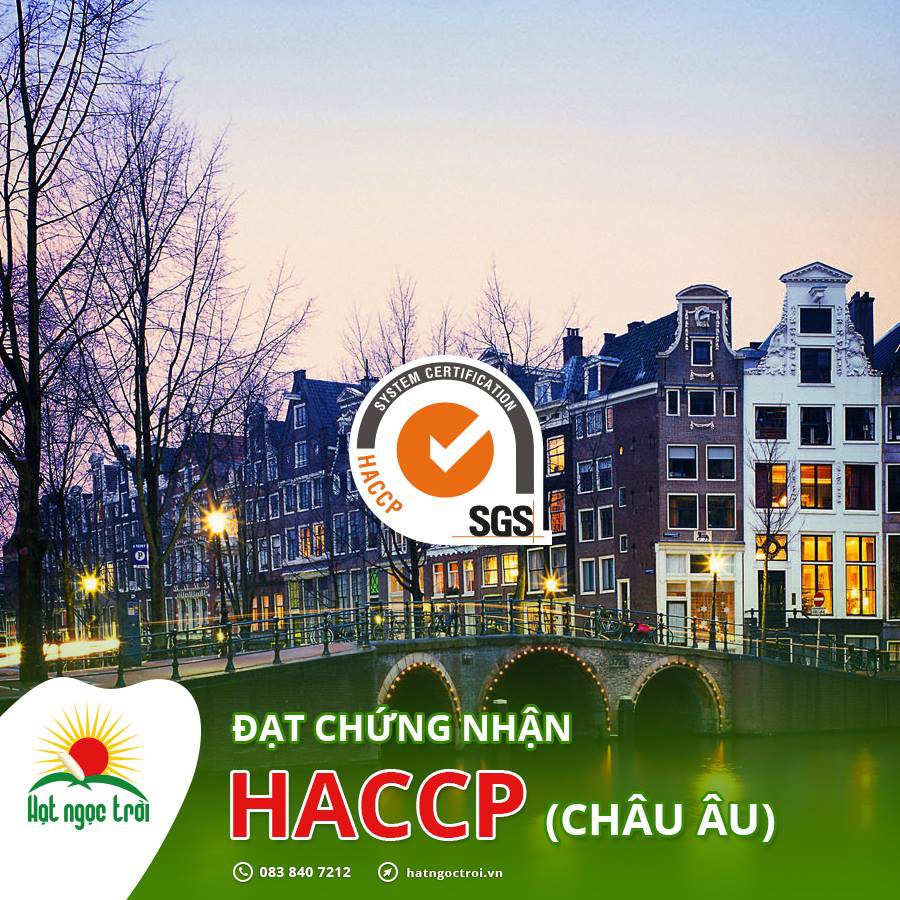 Gạo HẠT NGỌC TRỜI BẠCH DƯƠNG 5kg | BigBuy360 - bigbuy360.vn