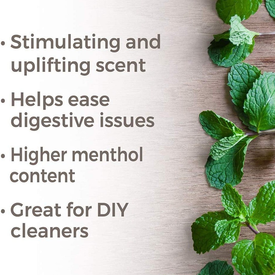 Plant Therapy - Tinh Dầu Hữu Cơ Bạc Hà (Peppermint) - USDA Organic