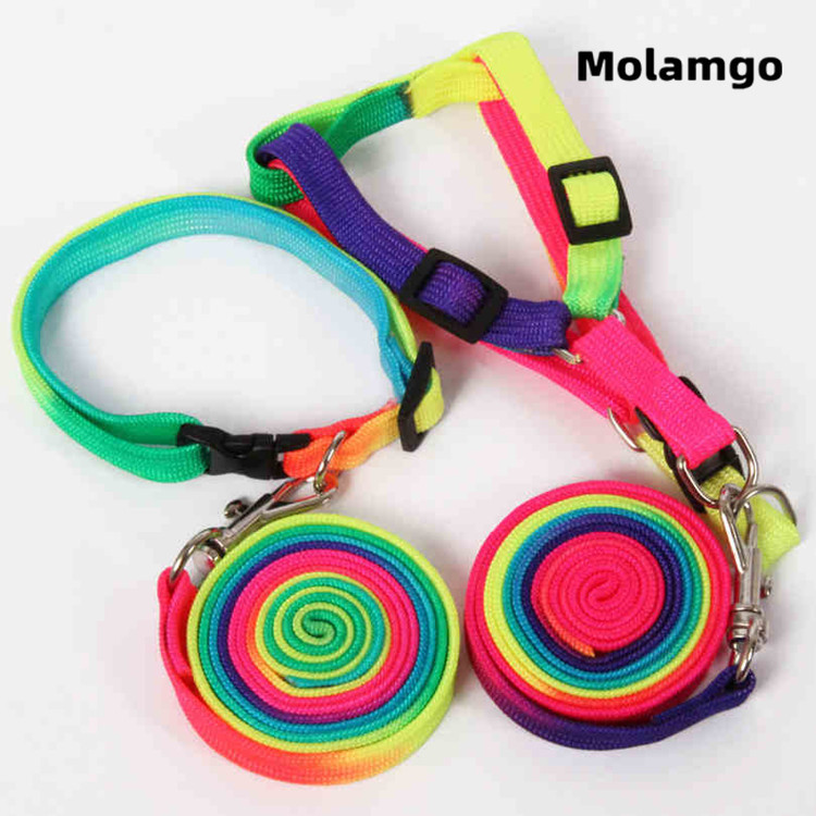 Dây Dắt Thú Cưng Đi Dạo Nhiều Màu Sắc