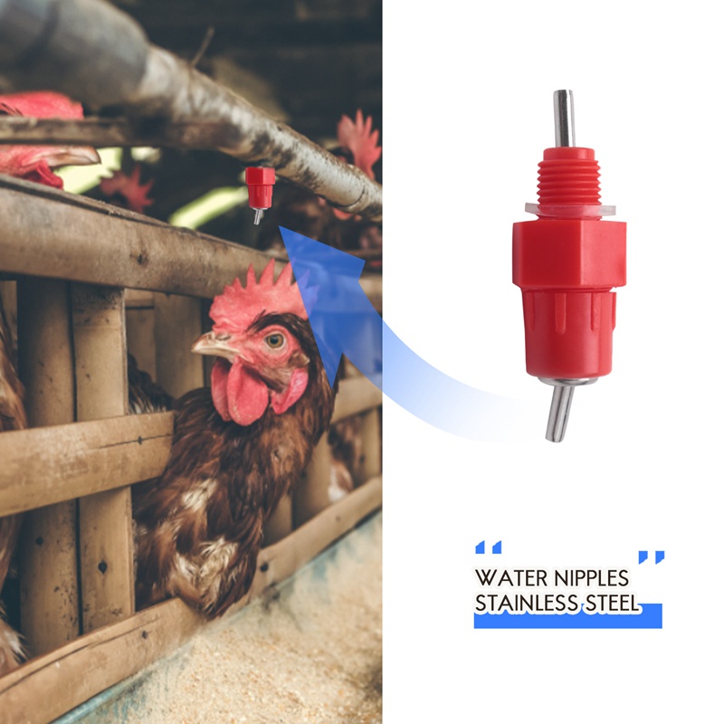 Set 5 Núm Uống Nước Cho Gà Vịt