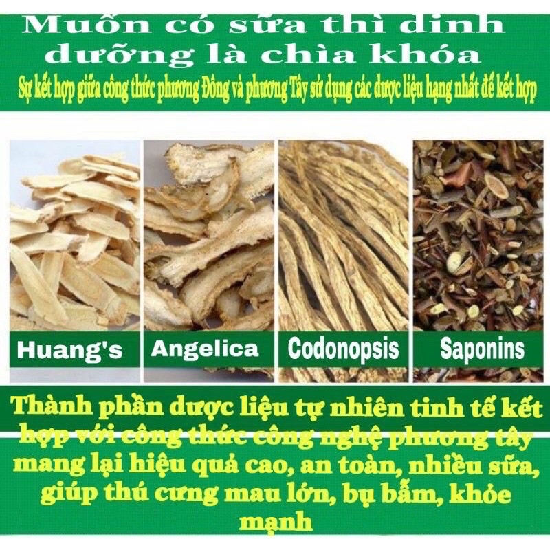 Bột kích sữa và cải thiện chất lượng sữa cho chó mèo, giảm stress cho chó mèo mẹ sau sinh, tăng đề kháng cho chó mèo con
