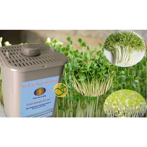 Máy làm giá đỗ, rau mầm 103 .ĐTLV