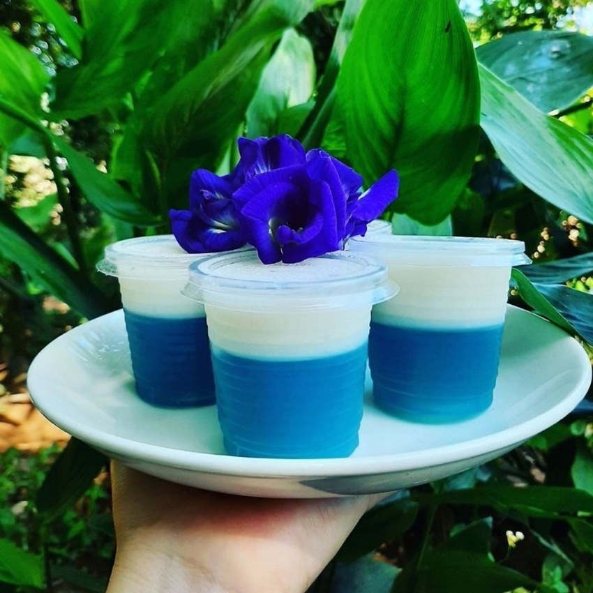 50 ly nhựa Nhỏ 80ml - 140ml -220ml Có Nắp Dùng Làm Ly Rau Câu, Ly Uống Nước, Ly Nước Chấm - Egreen Dùng 1 Lần