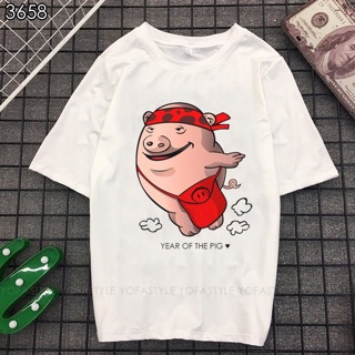 Bộ hình áo thun con heo