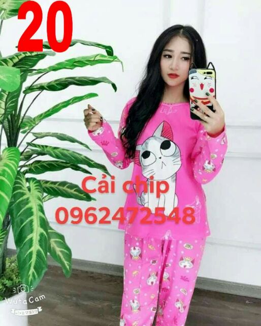 [Free ship 99k giao tại HN + HCM]BỘ THUN THÁI HOẠT HÌNH CUTE | BigBuy360 - bigbuy360.vn