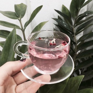 Bộ ấm chén trà thủy tinh
