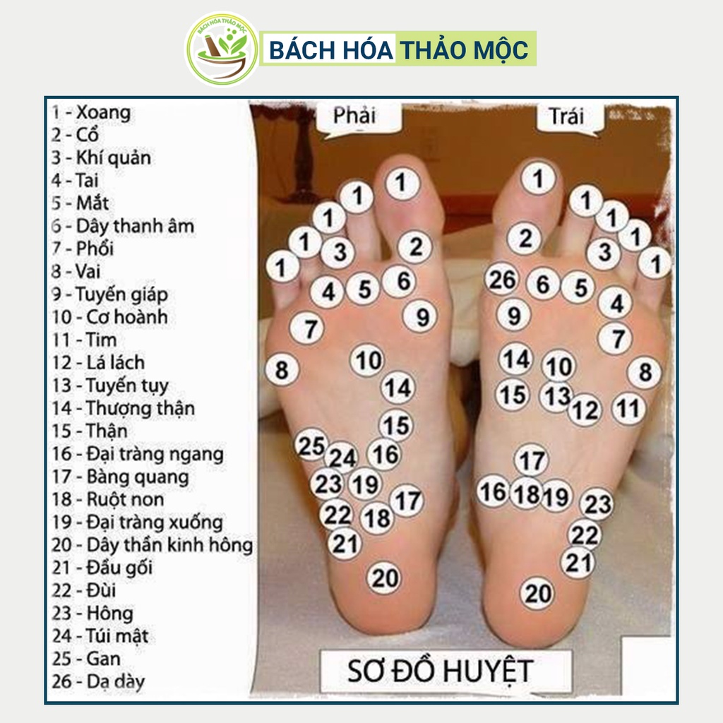 Gói Bột Ngâm Chân Thảo Dược Thuốc Bắc Thông Kinh Hoạt Lạc Giảm Đau Xương Khớp Cải Thiện Giấc Ngủ