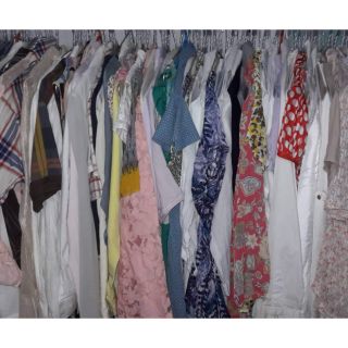 đơn  dâu sam sam 150