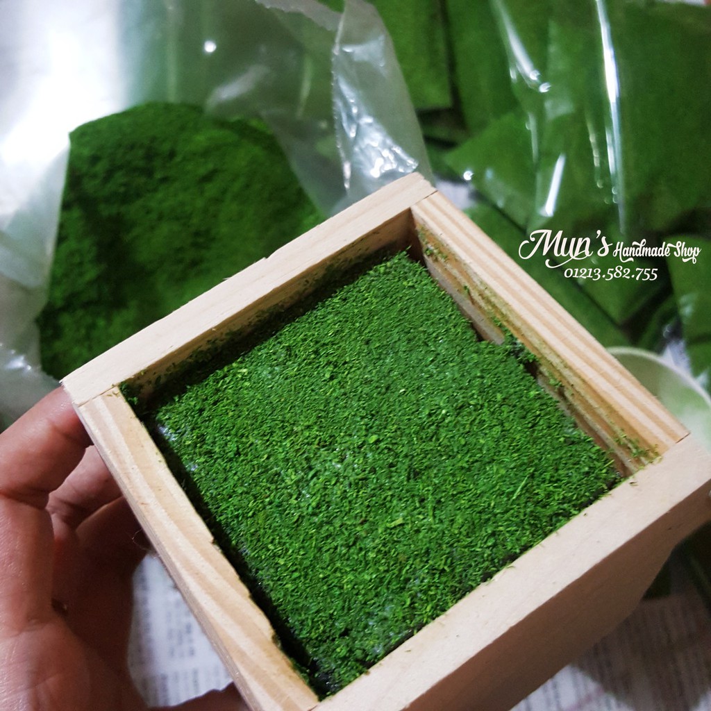 Cỏ bột rêu/Cỏ sợi  trang trí mô hình, phủ chậu cây