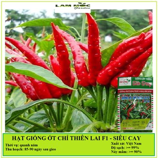 Hạt giống - ớt chỉ thiên siêu cay f1 - gói 1 gram
