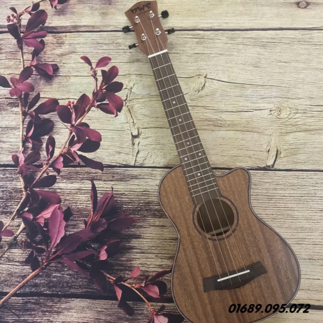 ĐÀN UKULELE CONCERT BWS KHUYẾT