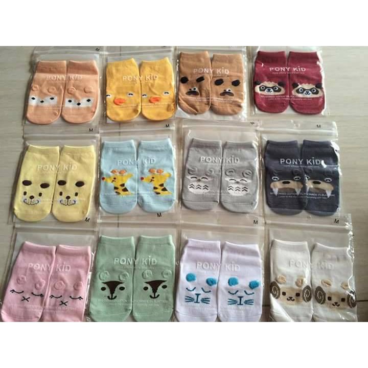 Tất Hàn Quốc Poly Kid
