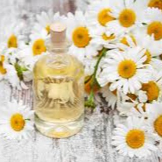 Nước Thảo Mộc Cúc La Mã ( Chamomile Hydrosol )