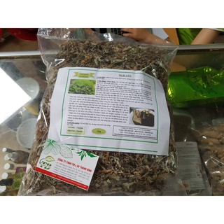 Ngải Cứu 500g - Thảo Dược Cao Cấp
