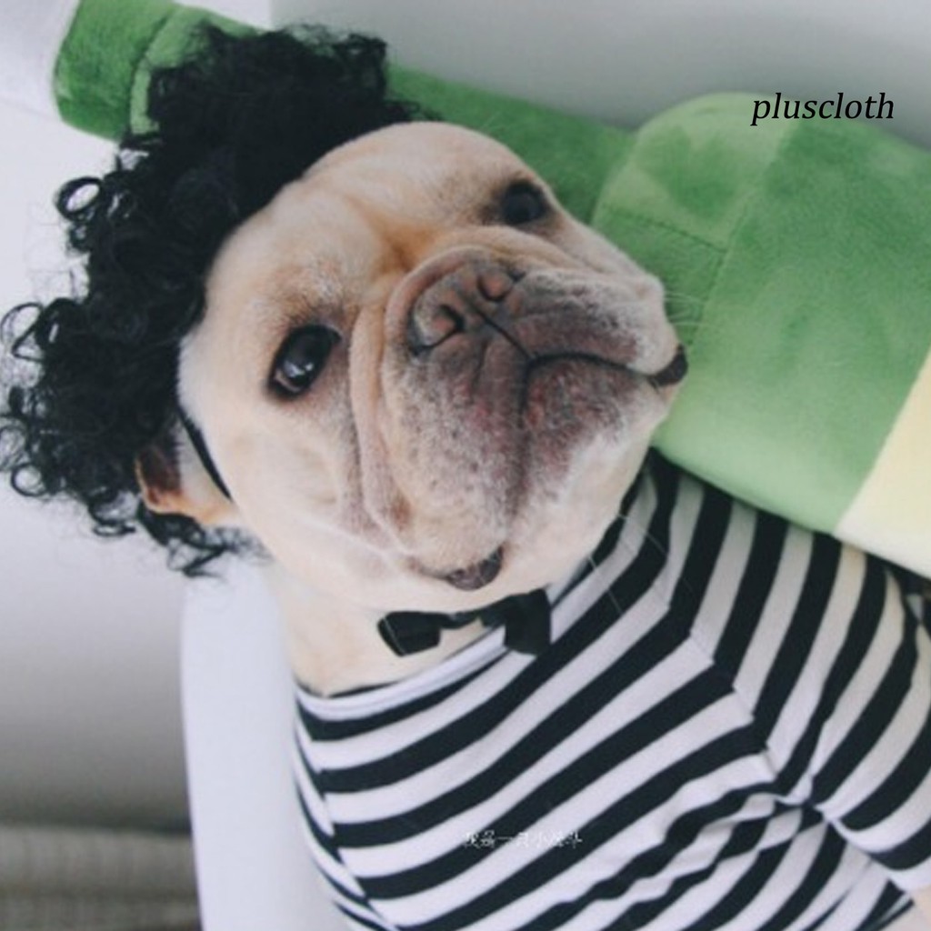 Tóc Giả Hóa Trang Cho Thú Cưng