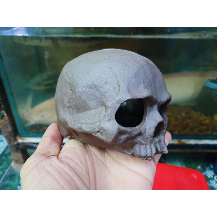 ĐẦU LÂU TRANG TRÍ HỒ CÁ NON BỘ CHO TÔM TÉP CHUI VÀO 10X9X7CM