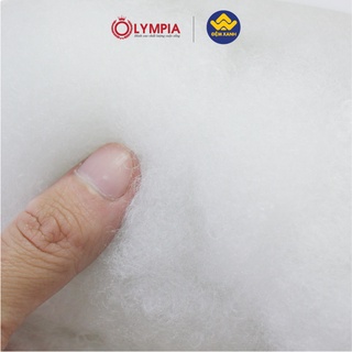 Ruột gối bông ép Olympia