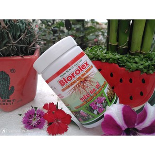 PHÂN BÓN SIÊU RA RỄ TỪ RONG VÀ TẢO BIỂN BIOROLEX 100ML