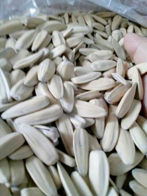 SỈ 1 kg HƯỚNG DƯƠNG TRẮNG MẶN NGỌT