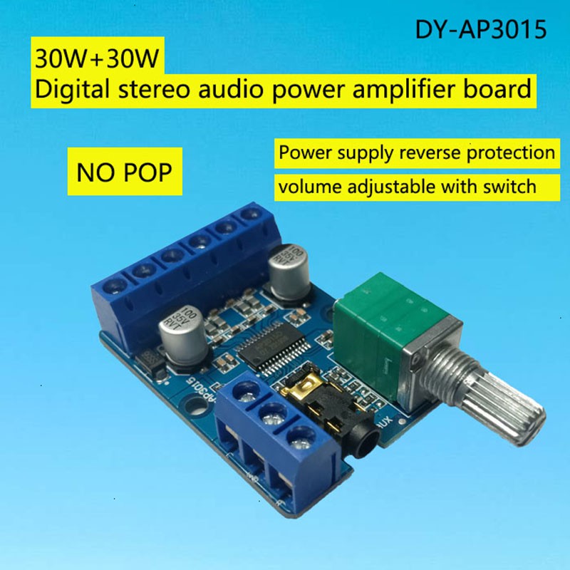 DY-AP3015 DC 8-24V 30Wx2 Class D Bảng mạch khuếch đại kỹ thuật số âm thanh nổi kép kênh công suất cao với chiết áp âm lượng có thể điều chỉnh