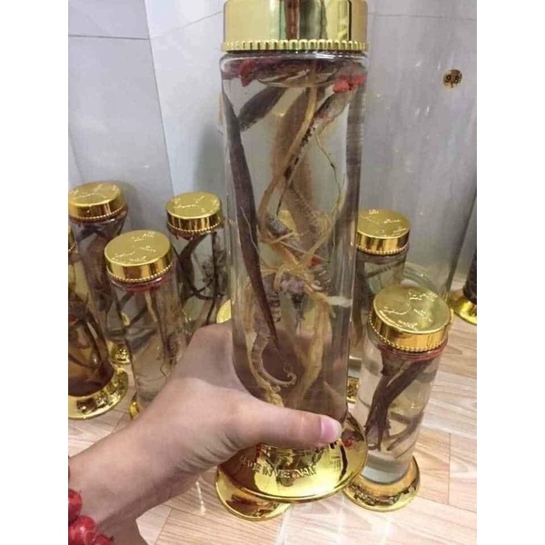 1 COMBO TỨ HẢI LONG VƯƠNG