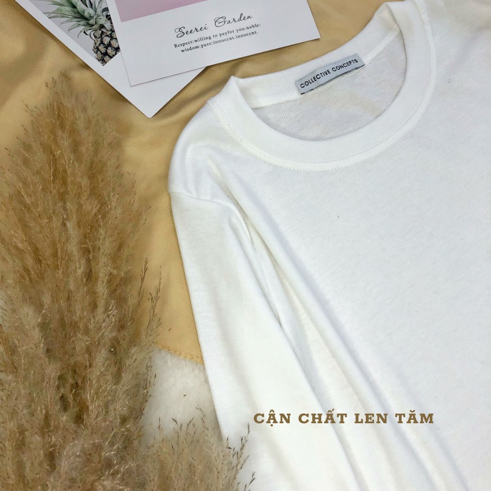 Áo thun trơn dài tay cổ tròn dáng ôm dễ mix đồ | BigBuy360 - bigbuy360.vn