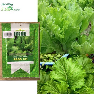 Cải Bẹ Mào Gà RĐ 101