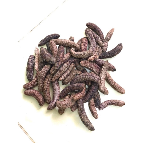 chuối hột rừng