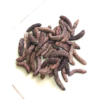 chuối hột rừng