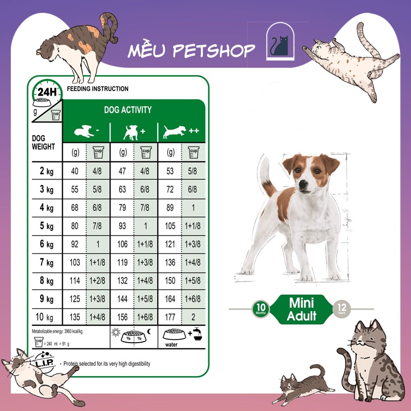 Hạt ROYAL CANIN MINI ADULT cho chó trưởng thành có kích thước nhỏ