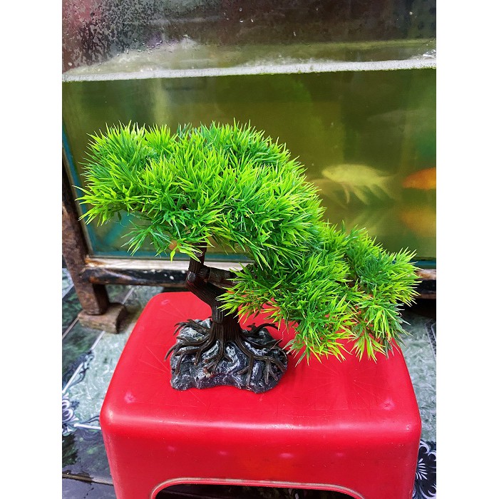 CÂY BONSAI GIẢ TRANG TRÍ HỒ CÁ NON BỘ 19X12X21CM