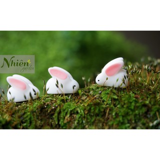Thỏ tai hồng - phụ kiện trang trí tiểu cảnh