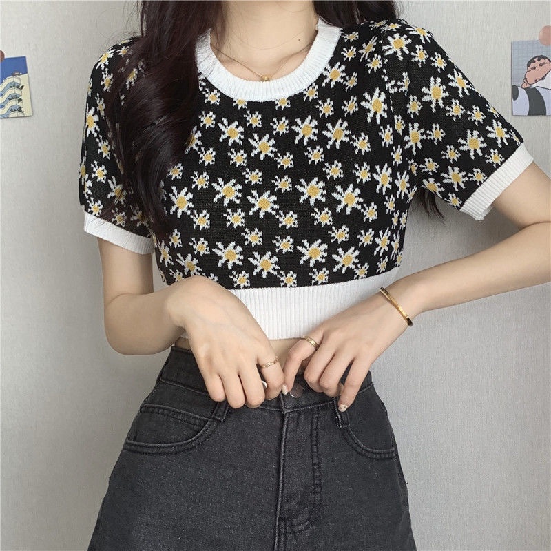 Áo Thun Dệt Kim Ngắn Tay Họa Tiết Hoa Cúc Phong Cách Hàn Quốc Cho Nữ