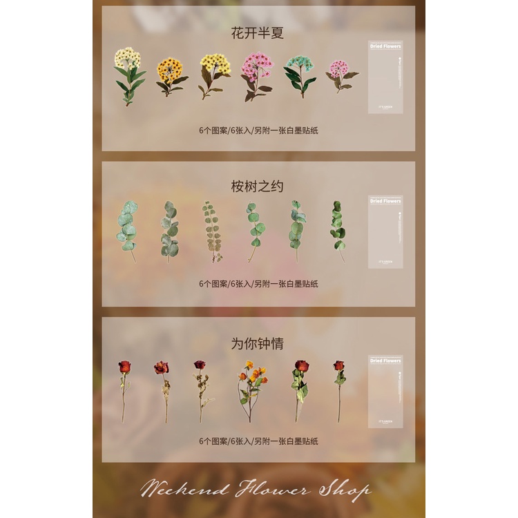 Set 6 Tấm Hình Dán Họa Tiết Hoa Lá Trang Trí Sổ Tay Nhật Ký DIY