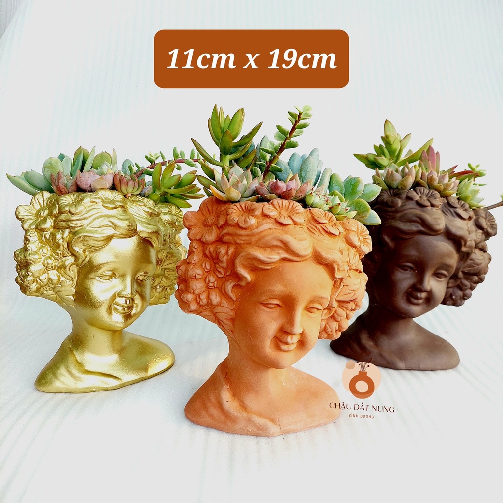 Chậu đất nung, Chậu sen đá - Quý bà Rosa, đường kính miệng 11cm, chiều cao 19cm