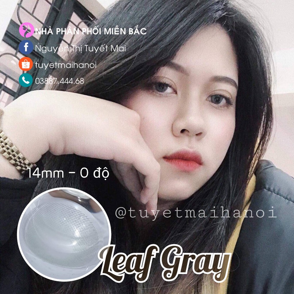 Lens Xám Tây Leaf Gray 14mm 0 Độ - Kính Áp Tròng Hàn Quốc Chính Hãng Vassen Sexy Me